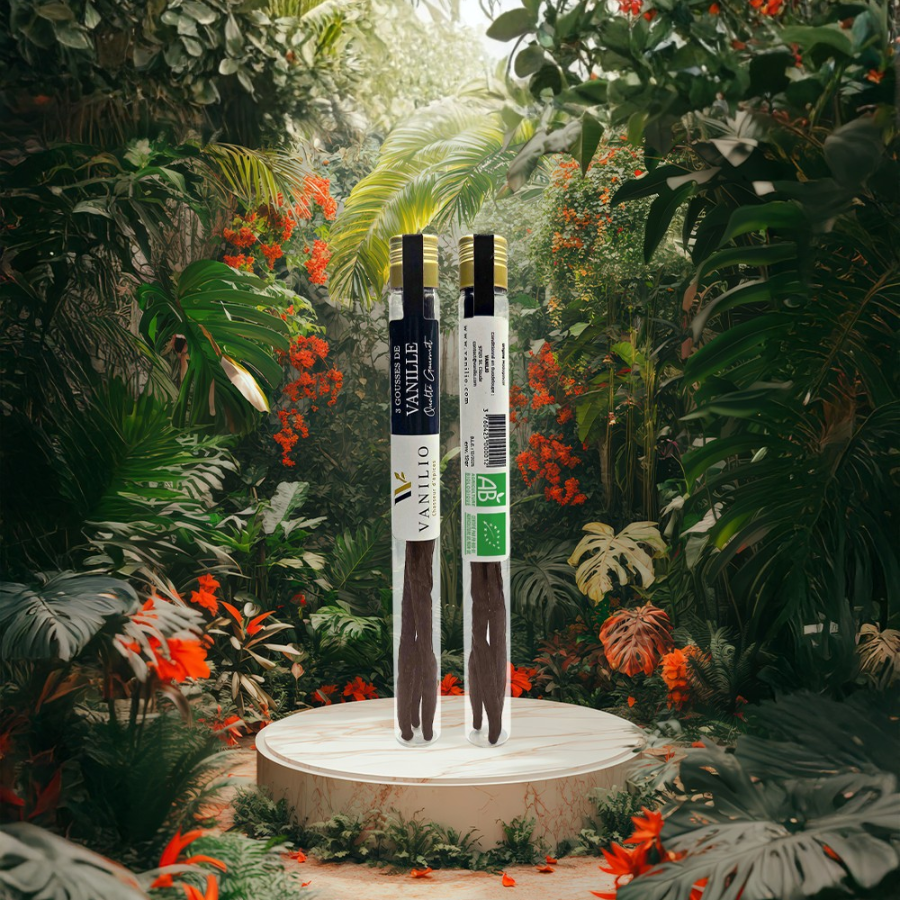Vanilles premium Vanilio – Fournisseur professionnel