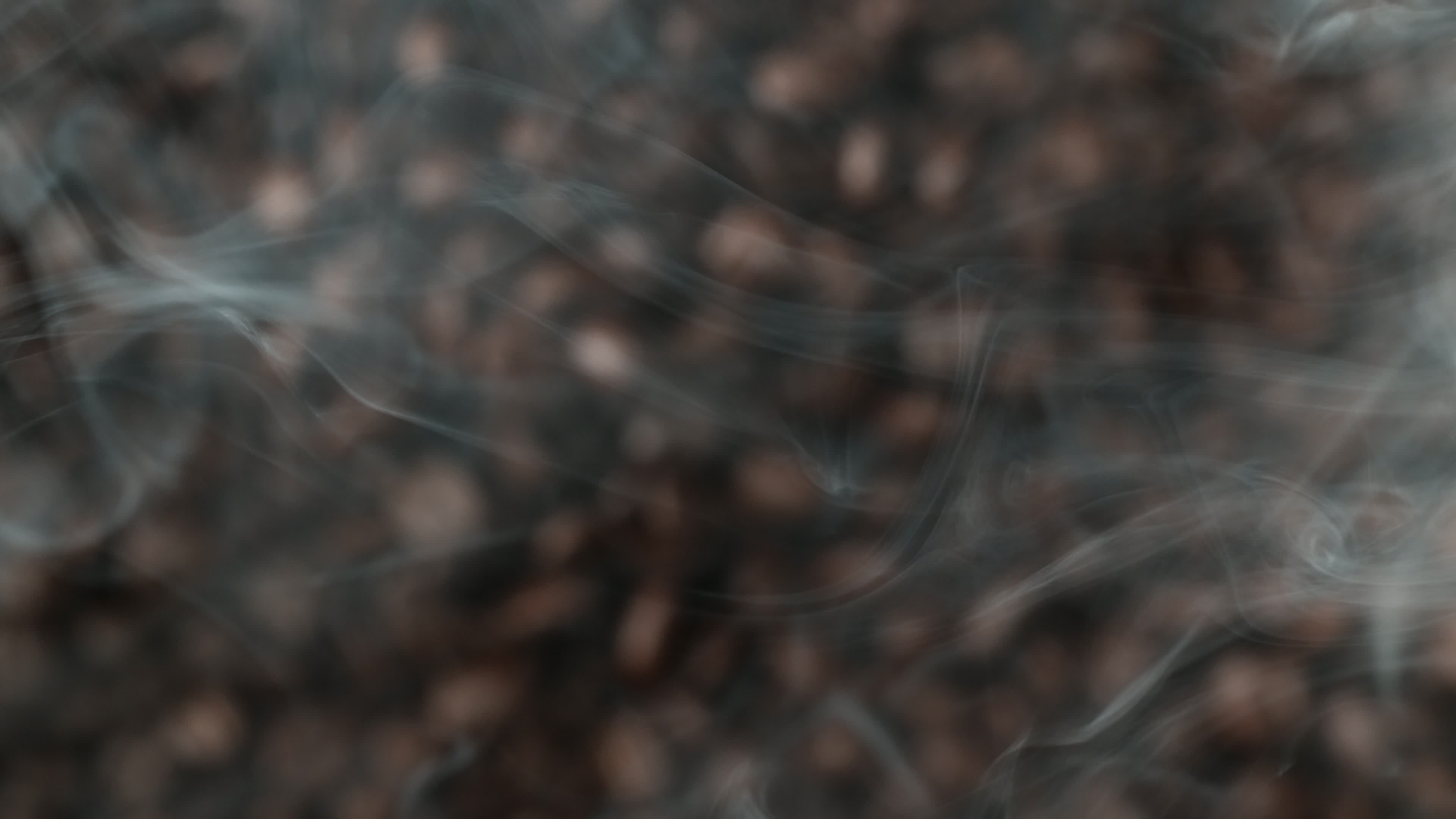 Charger la vidéo: grains de cafés Vanilio