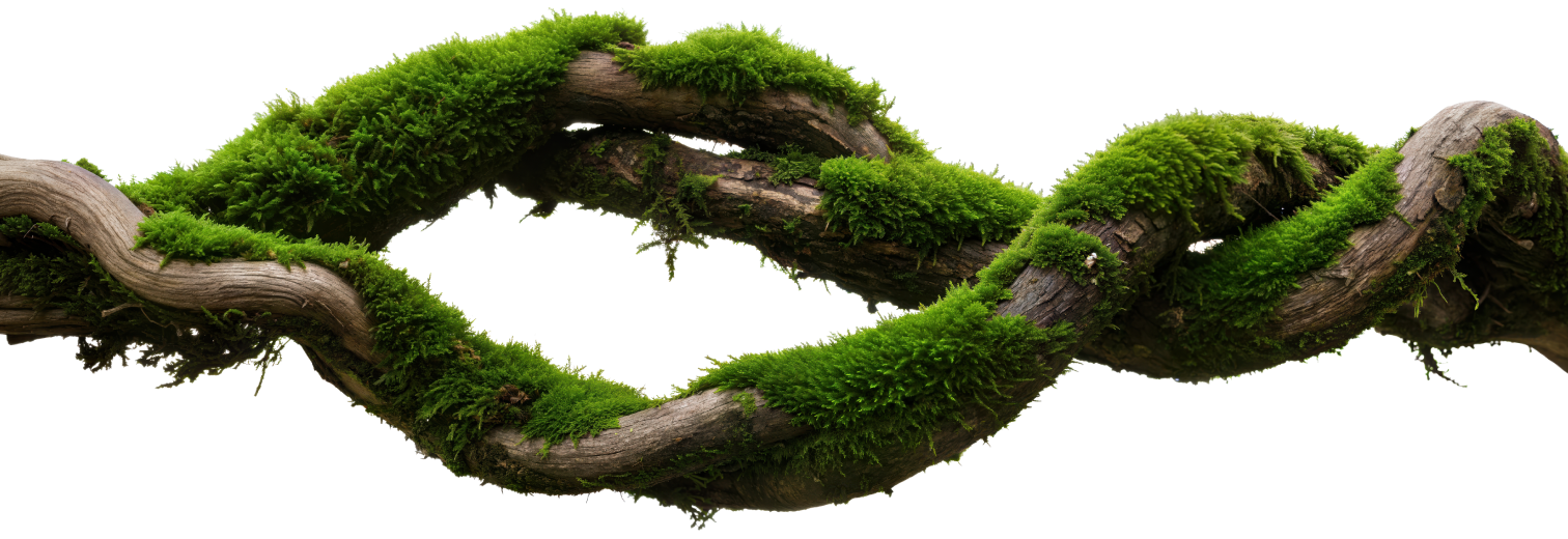 Tree branch separator