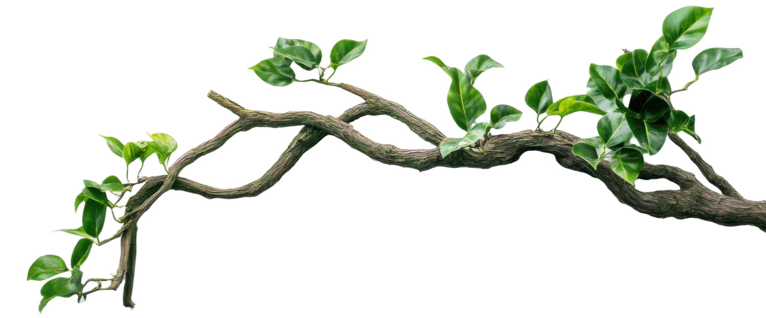 Tree branch separator